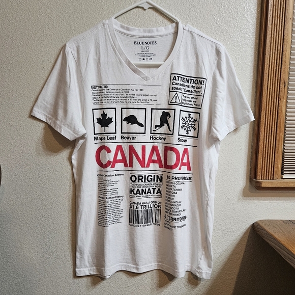 CANADA V-Neck Slim Fit Tee - Picture 4 of 5